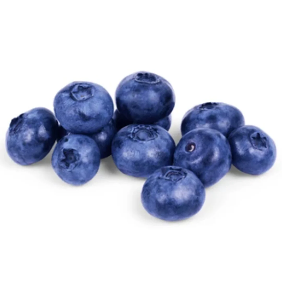 Northern Ontario Wild Blueberries