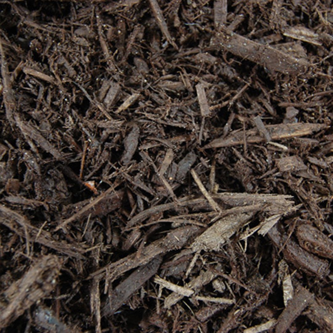 Enhance® Brown Bark
