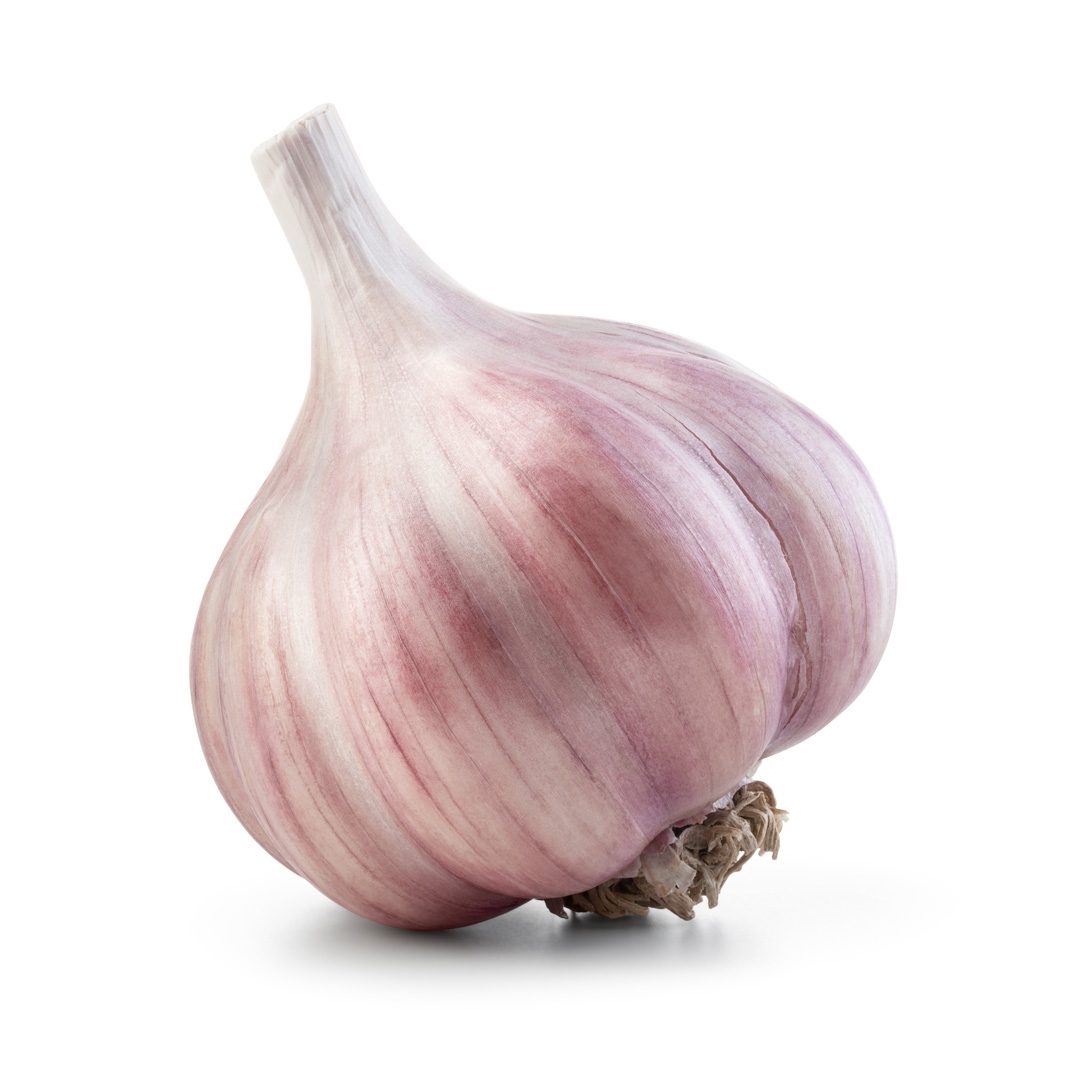 Ontario Garlic
