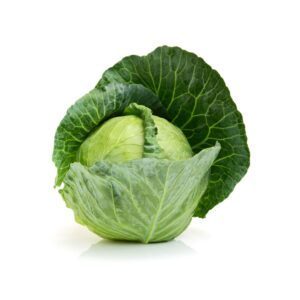 Cabbage