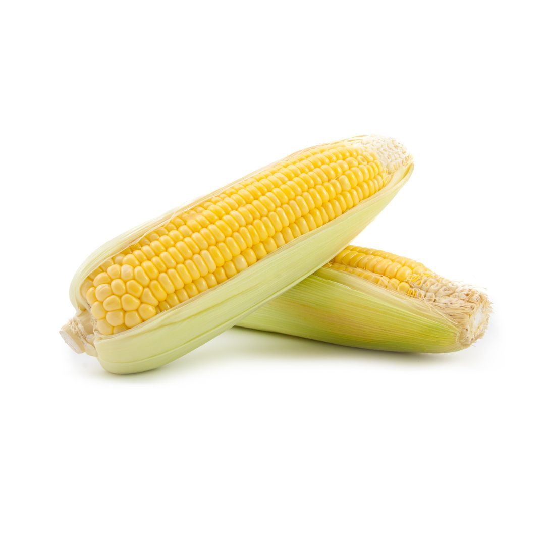 Farm Fresh Corn