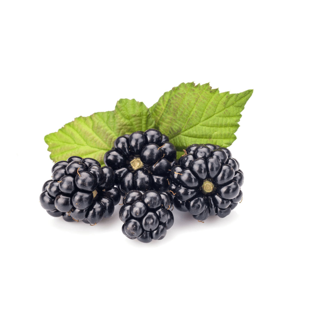 Niagara Blackberries