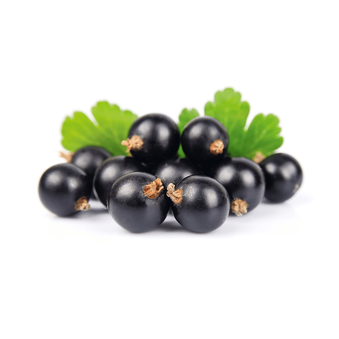 Niagara Currants